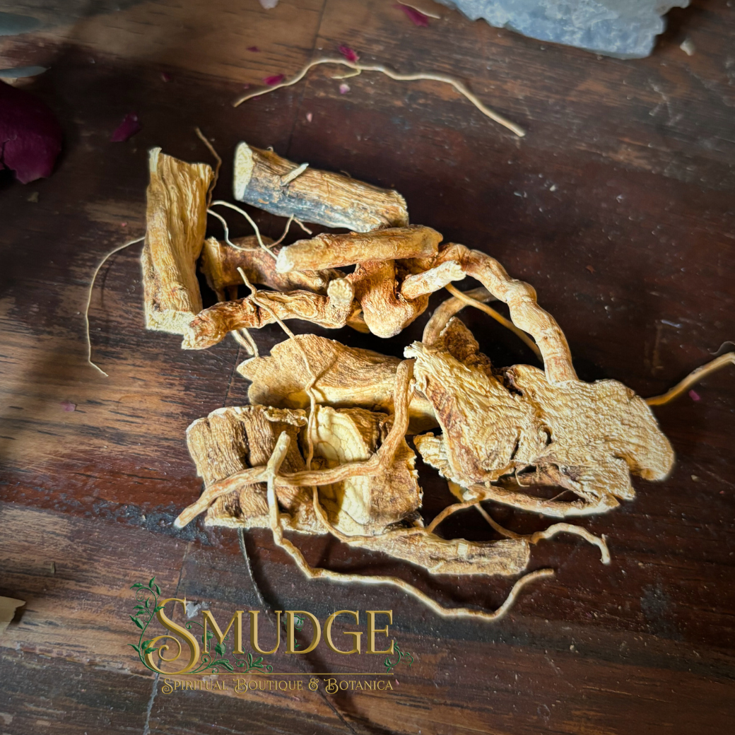 anamu plant seeds Anamu Root – Smudge Metaphysical Spiritual Boutique