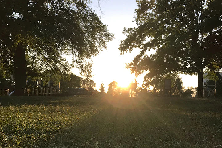 3 Litha / Summer Solstice / Midsummer Spell & Rituals