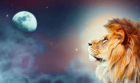 Leo Full Moon: Confidence, Setting Goals and Going After What You Want