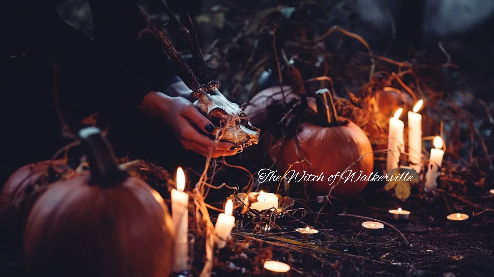 The Veil Thins - A Witch's Guide to October & Samhain