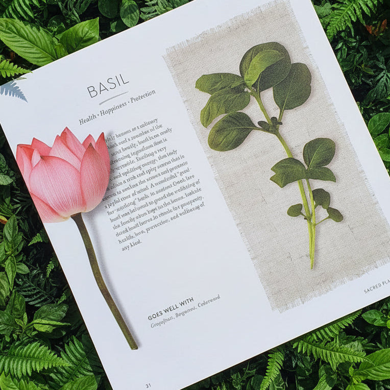 Open book with basil plant and pink flower on a wooden surface