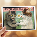 A hand holds a square art print or postcard featuring two fluffy cats facing each other with daisies, with the text 'I LOVE YOU SOOOO MUCH.' at the top.