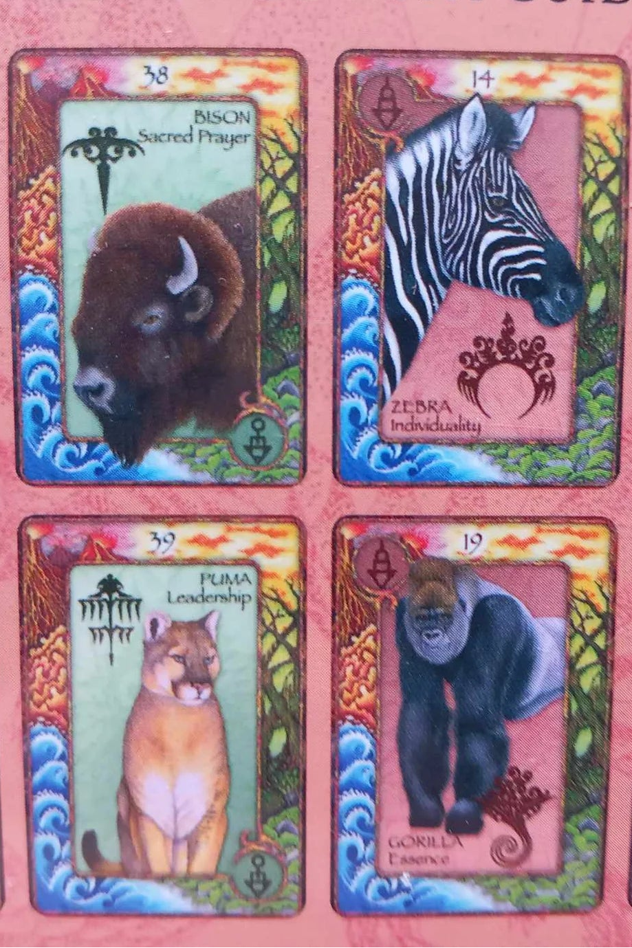 Animal Dreaming Oracle Deck