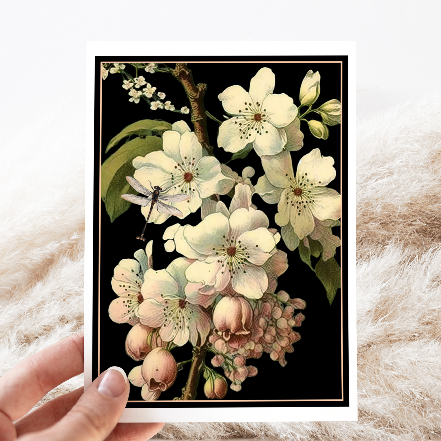 Greeting Card. Dramatic Cherry Blossoms. Dark Background.