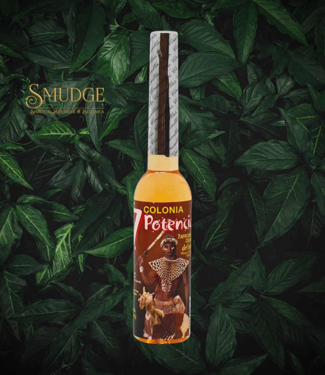 7 African Powers Cologne