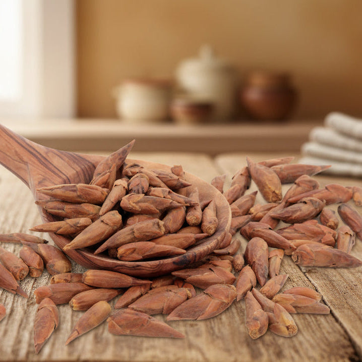 Wooden spoon with cardamom pods on a white background