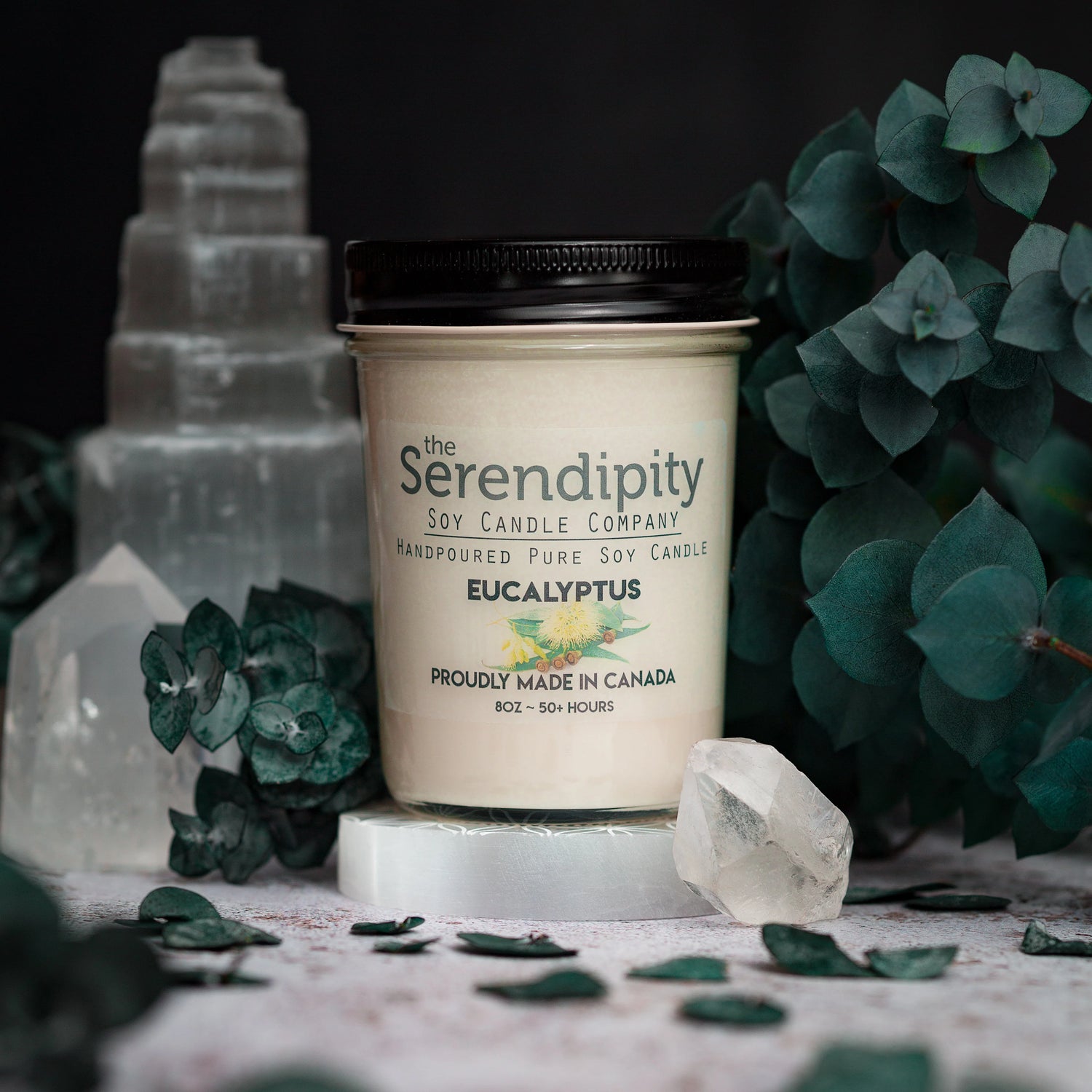 Eucalyptus Candle 8 oz