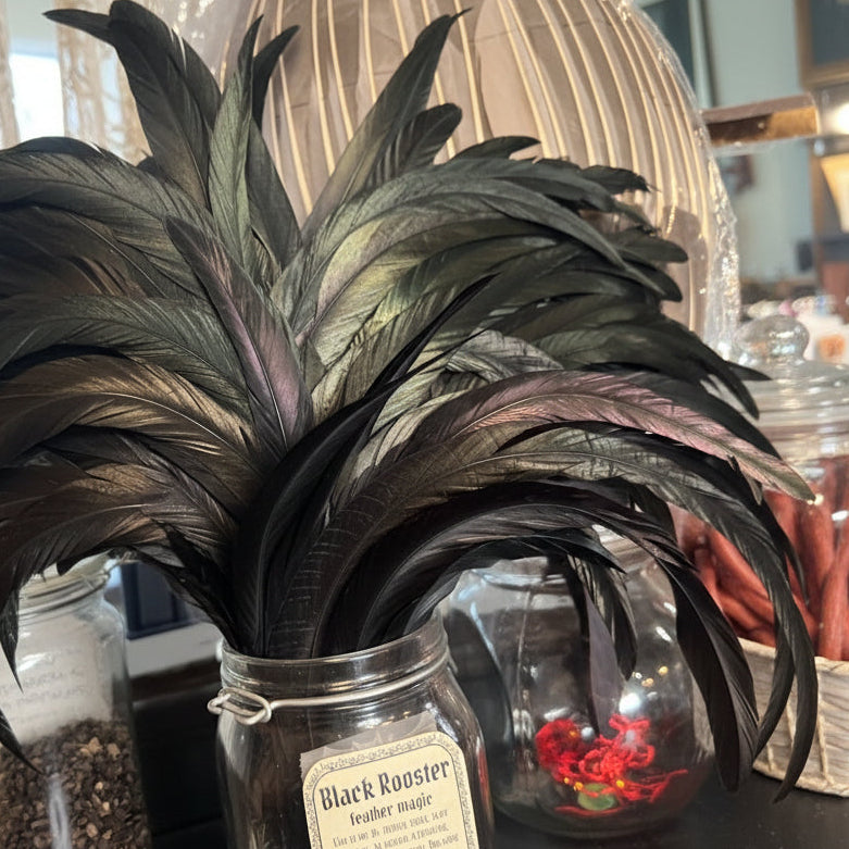Bottle with feathers in the foreground