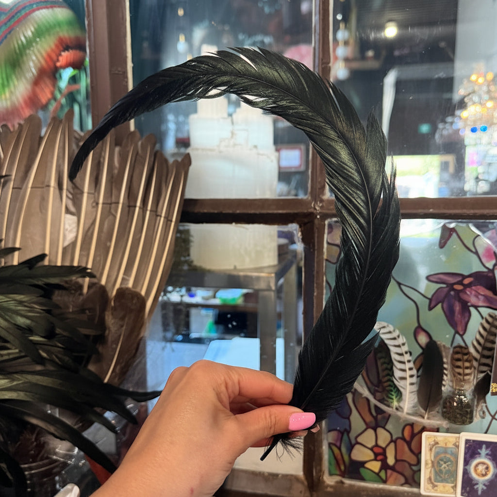 Person holding a black feather in front of a stained glass window
