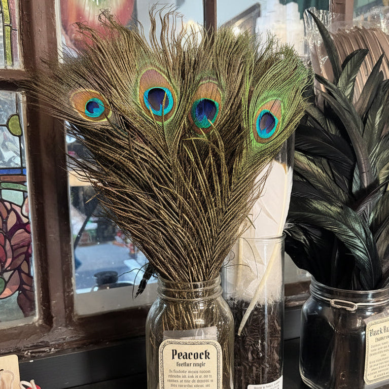 Bouquet of peacock feathers on a bottle with a blurred background
