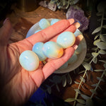 Hand holding a set of small, round, light-colored objects with a decorative background featuring plants and crystals.