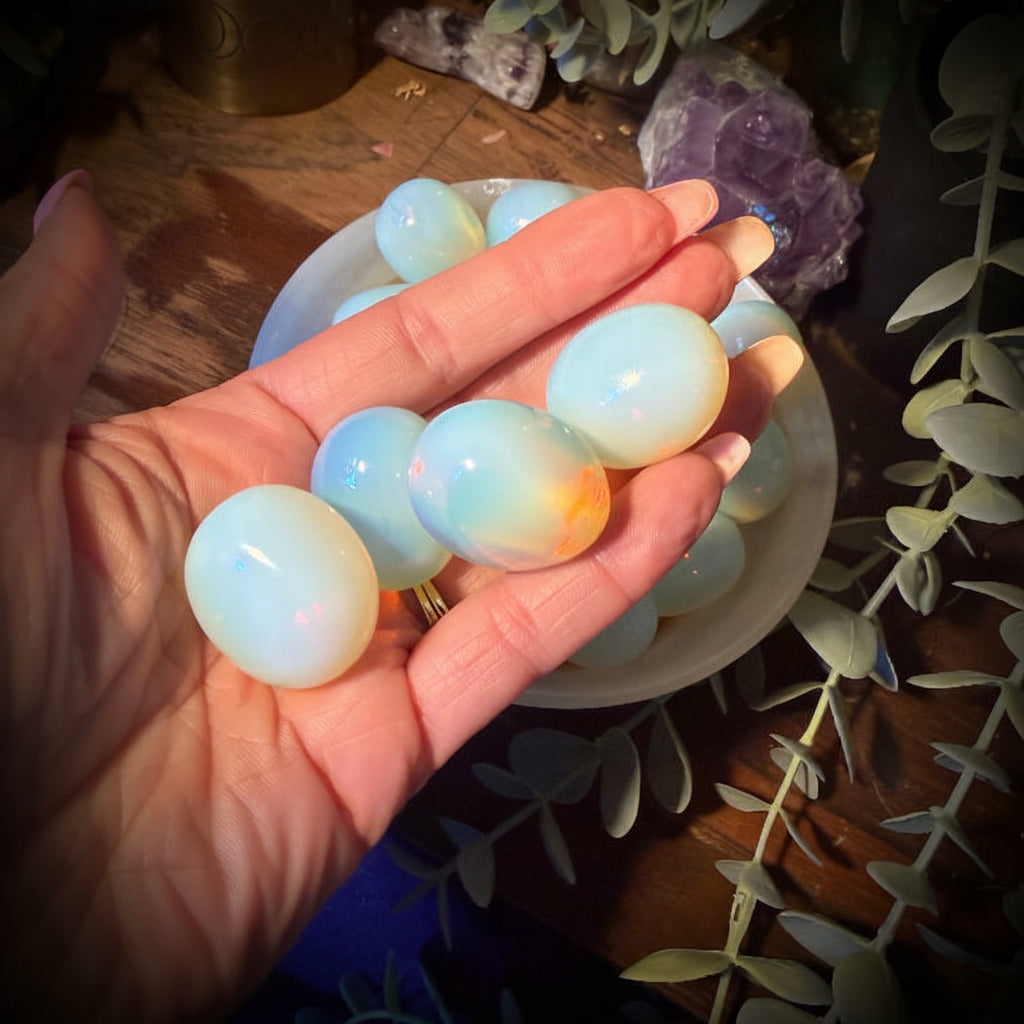 Hand holding a set of small, round, light-colored objects with a decorative background featuring plants and crystals.