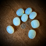 Opal stones on a wooden surface with a coin for scale