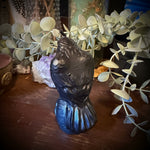 Decorative raven figurine on a wooden surface with leaves and other small objects.
