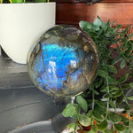 Labradorite crystal sphere with a plant in the background