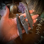Hand holding a piece of wood with crystals and plants in the background