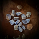 Kyanite tumbled stones on a wooden surface with a penny for scale, next to a copper object and greenery.