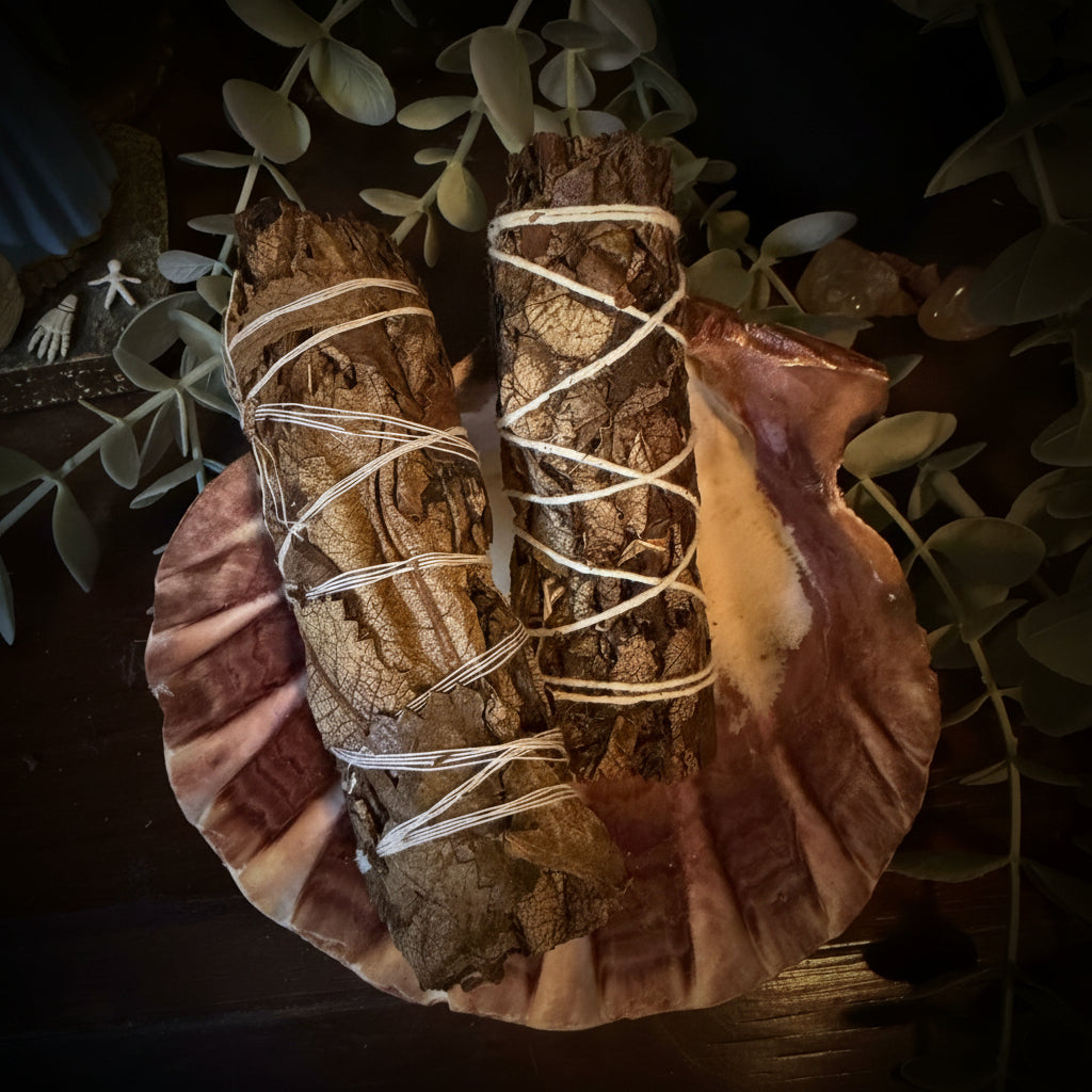 Two sticks of black sage in a shell on a table.
