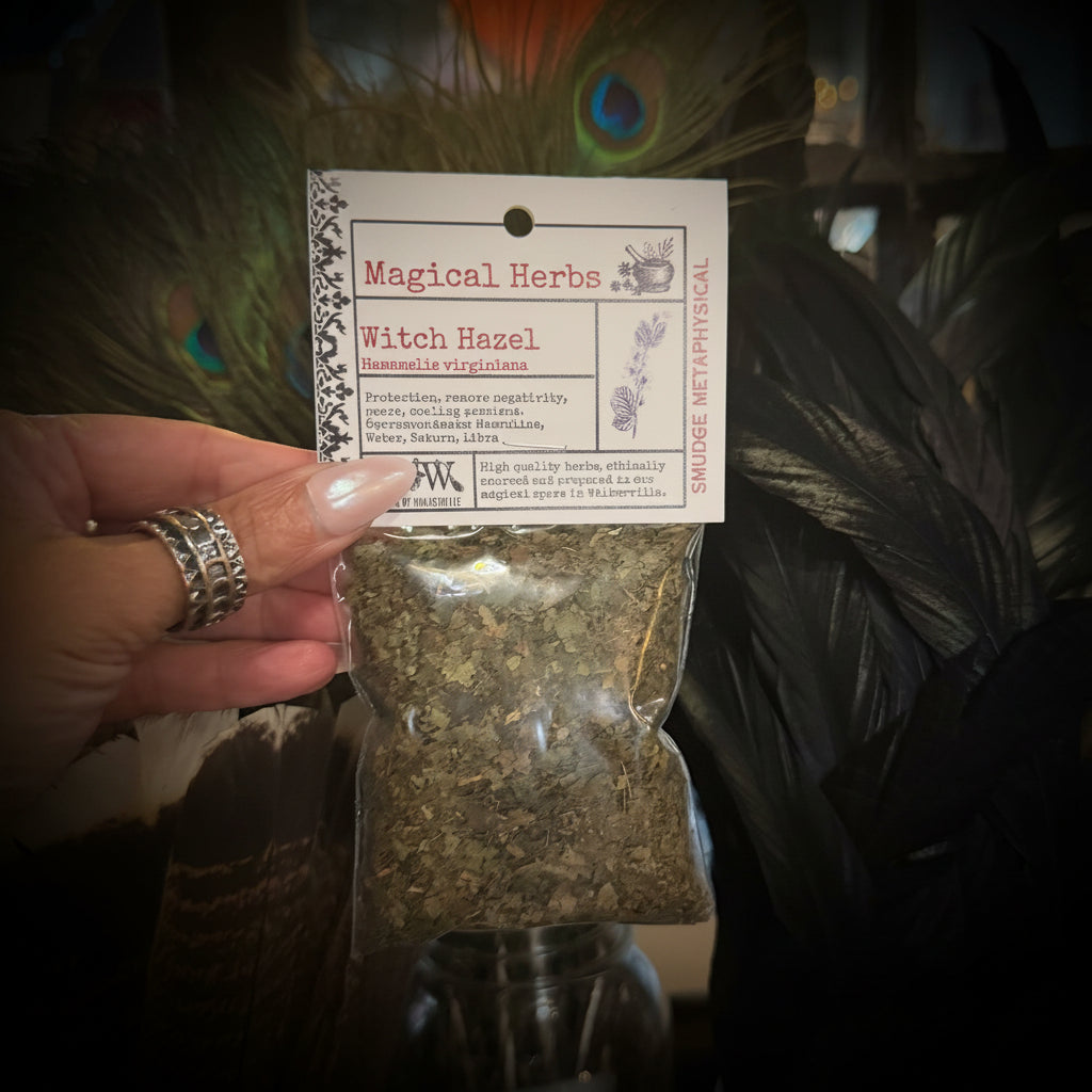 A hand holding a clear plastic bag of dried witch hazel herbs with a white paper label that reads 'Magical Herbs' and 'Witch Hazel'. The background features decorative black feathers and glass jars containing dried botanicals.