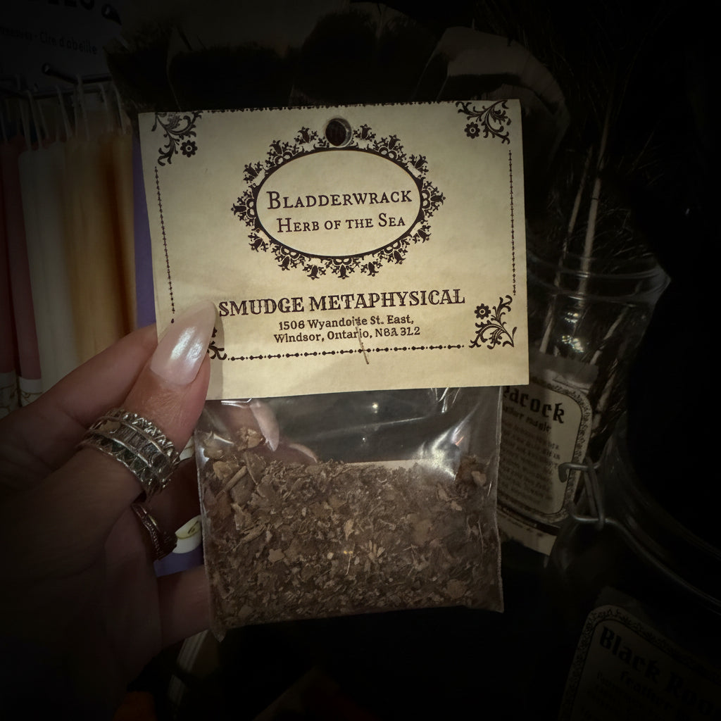 A hand holds a small clear pouch containing dried brown herbal material, with a cream label reading 'Bladderwrack Herb of the Sea' and 'Smudge Metaphysical.' The scene appears to be a retail or display setting with other jars and dried botanicals in the background.