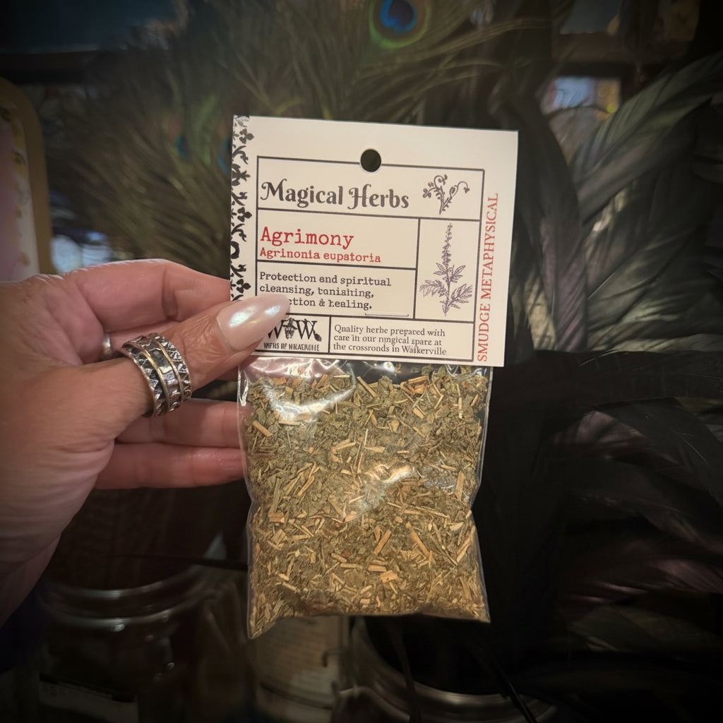 A hand holding a small clear plastic bag of dried Agrimony herbs with a white paper header card labeled 'Magical Herbs' and 'Agrimony'. The background shows a decorative setting with peacock feathers and glass jars.