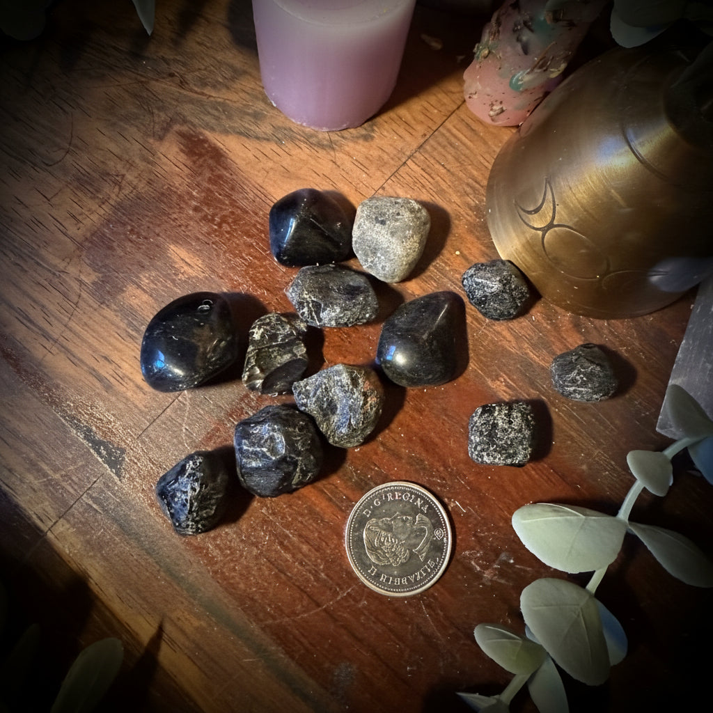 A group of polished and rough black tumbled stones arranged on a wooden tabletop, with a coin placed below them for scale. Decorative eucalyptus leaves, crystals, a pink candle, and a brass bell are visible around the setting.