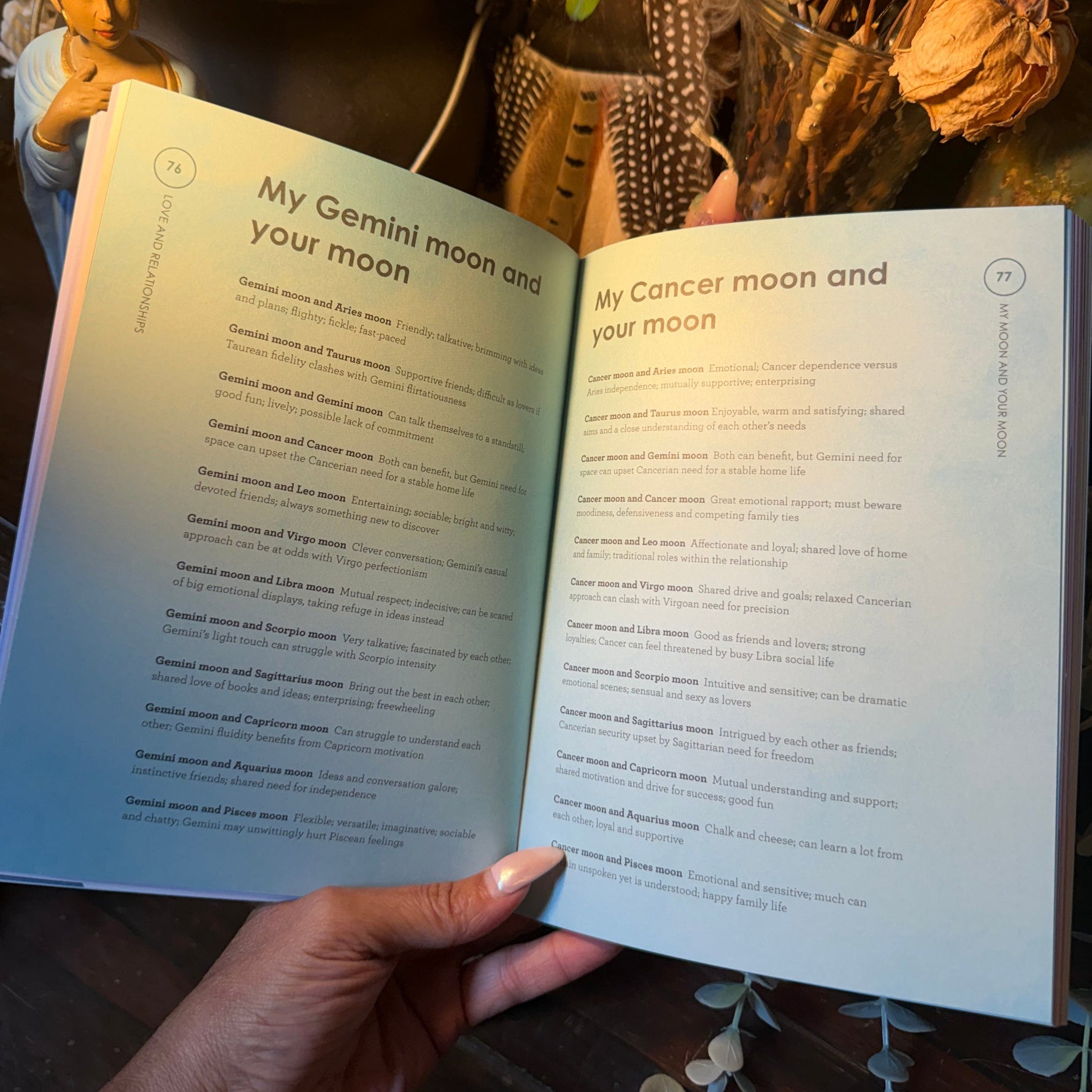 An open book showing printed pages titled 'My Gemini moon and your moon' and 'My Cancer moon and your moon', held by a hand. The background is a styled tabletop with dried flowers, a small figurine, and a dark decorative pot.