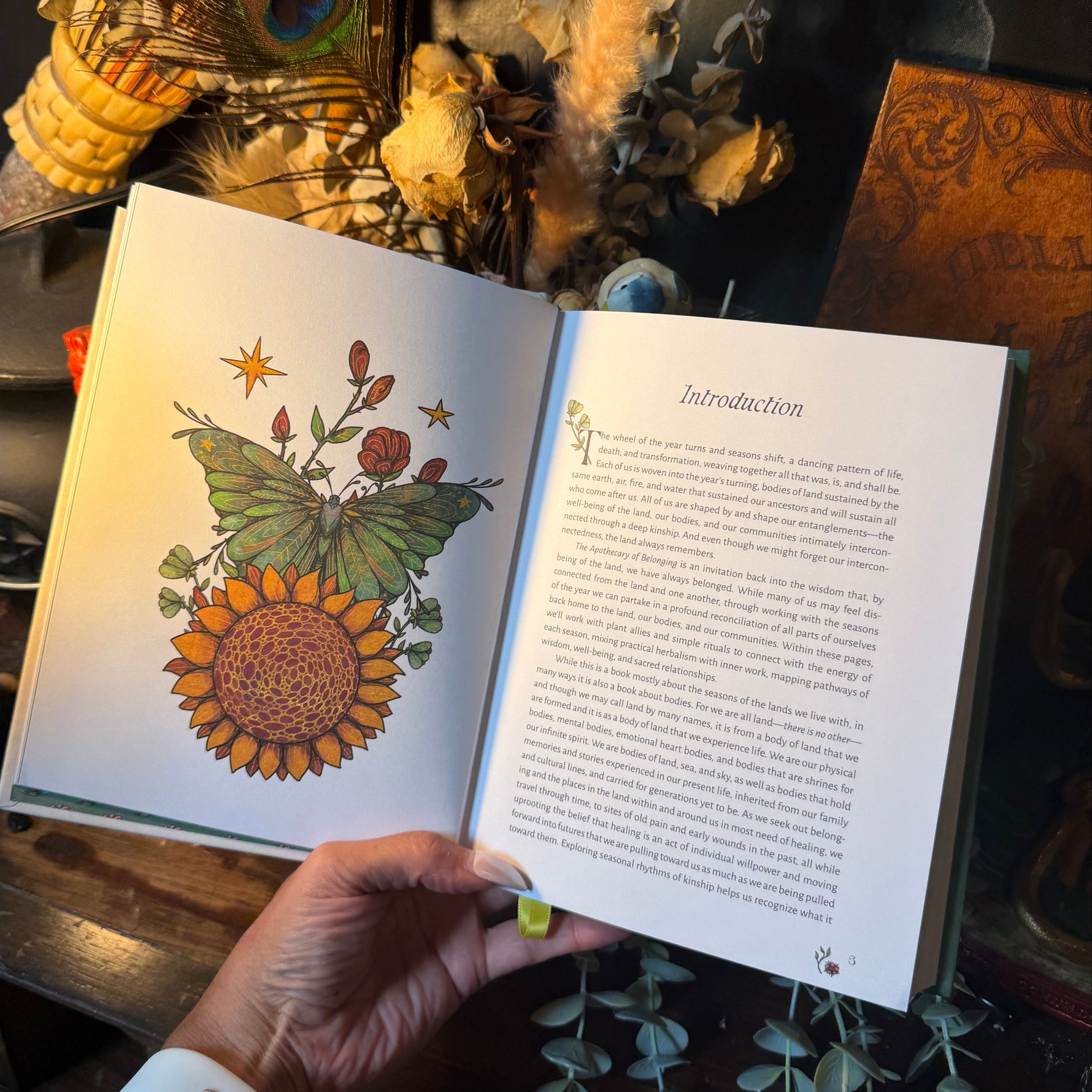 A hand holds an open book showing a colorful butterfly and sunflower illustration on the left page and the word 'Introduction' with text on the right page. The scene is styled with dried flowers, a peacock feather, and eucalyptus branches in warm, moody lighting.
