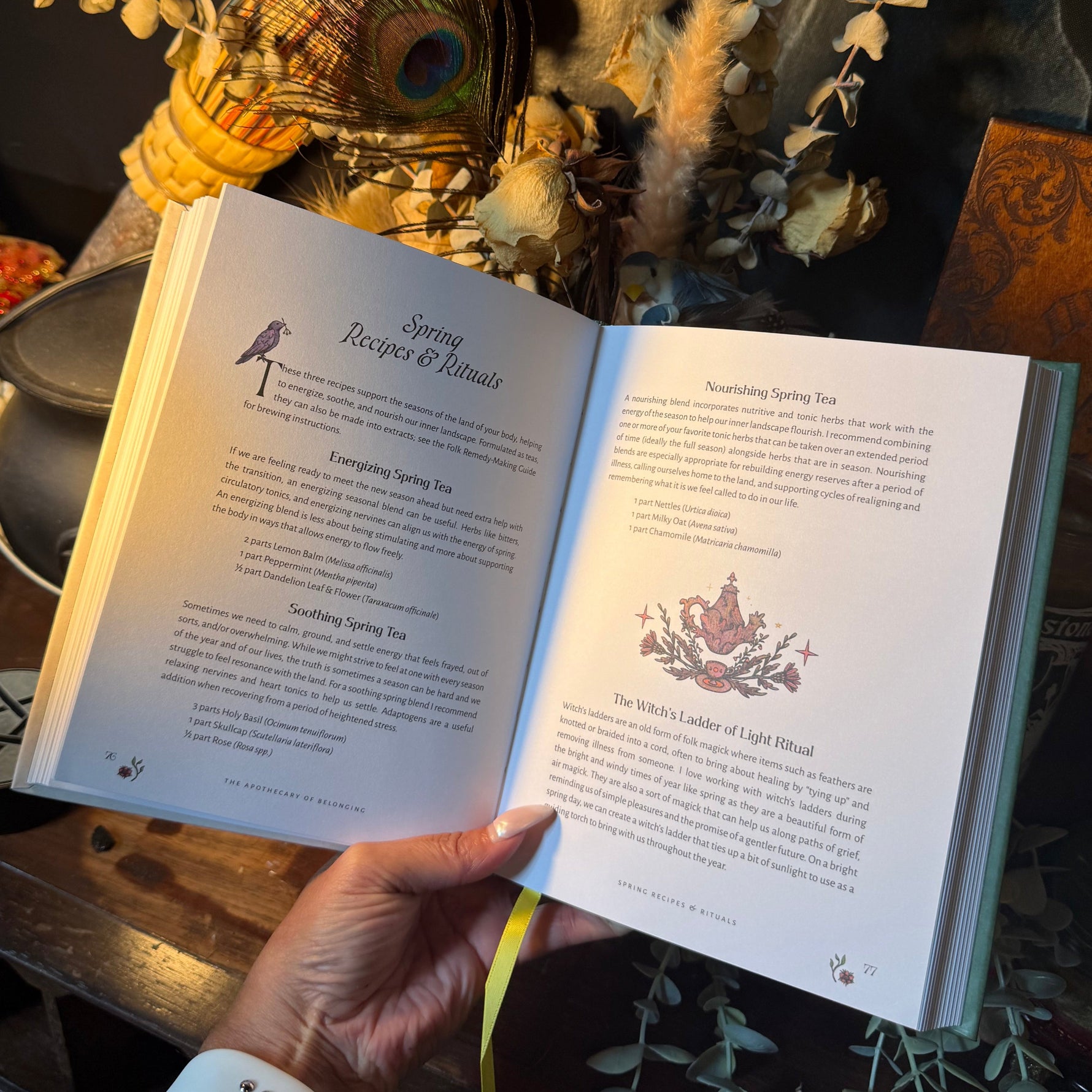 A hand holds an open book titled 'Spring Recipes & Remains' showing detailed recipe pages. The background is a styled, mystical setting with dried flowers, a broom, a peacock feather, and a black cauldron on a dark wooden table.