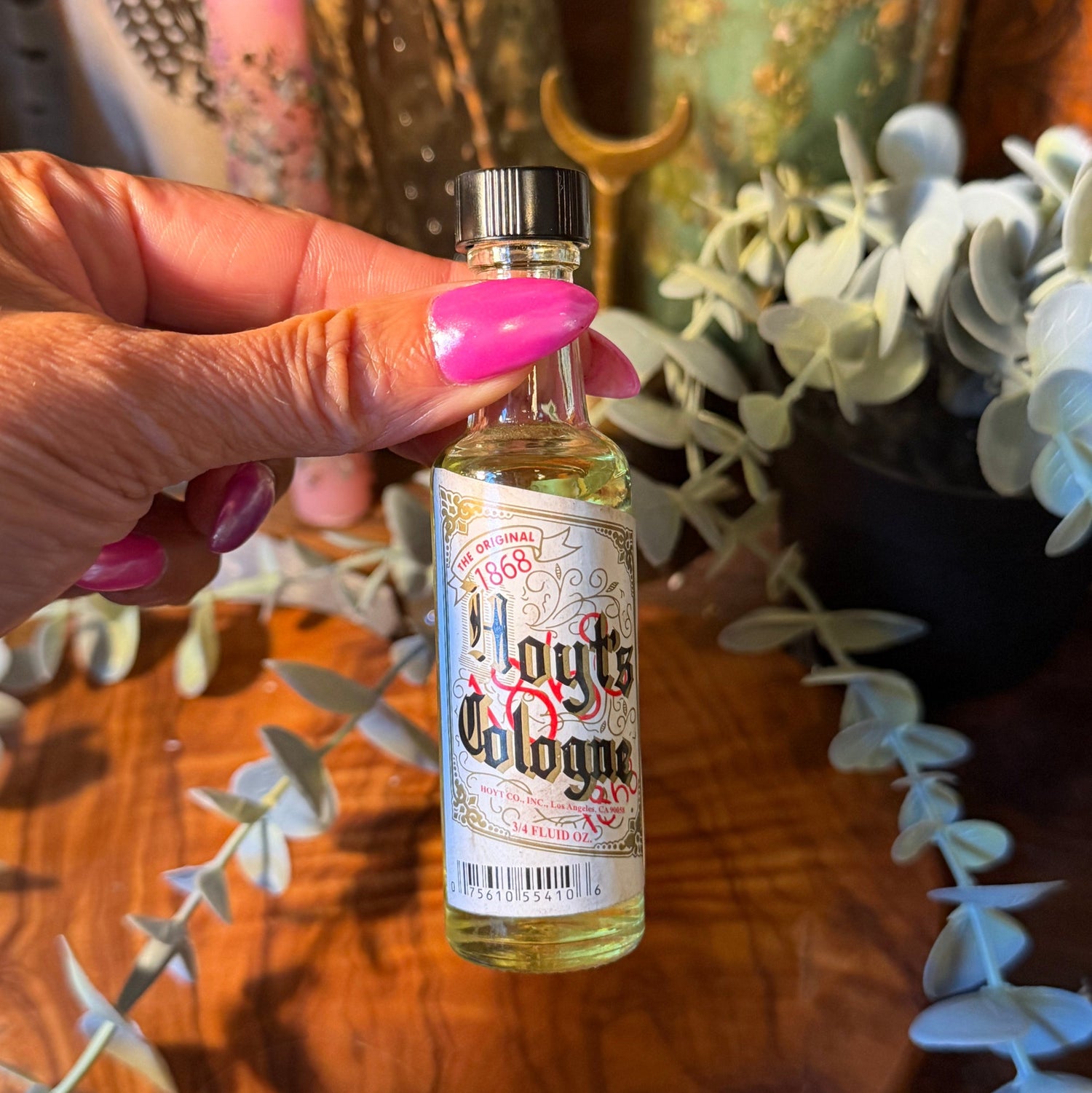 A hand with pink nail polish holds a small bottle of Houghton's Cologne against a rustic background with a wooden surface, dried plants, and eucalyptus.
