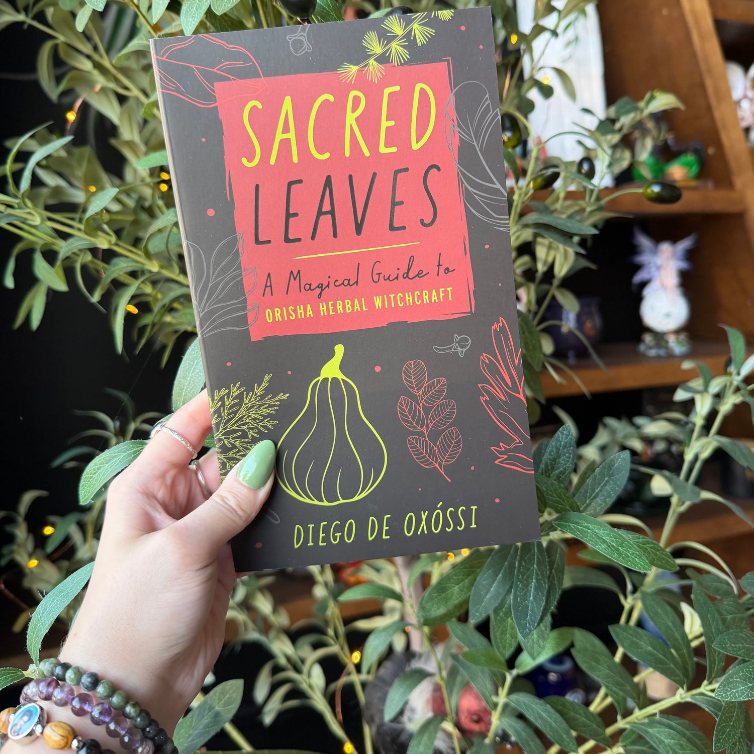 Sacred Leaves Book Being Held Up With a Tree Behind It.