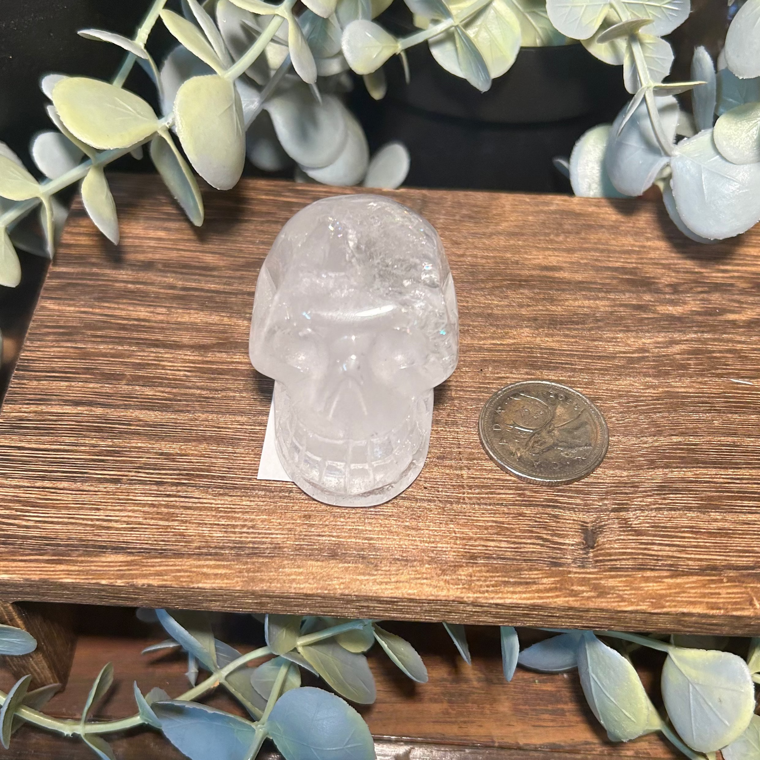 Clear Quartz Crystal Skull 50mm