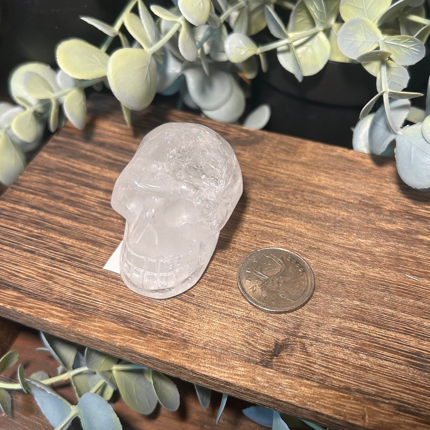 Clear Quartz Crystal Skull 50mm