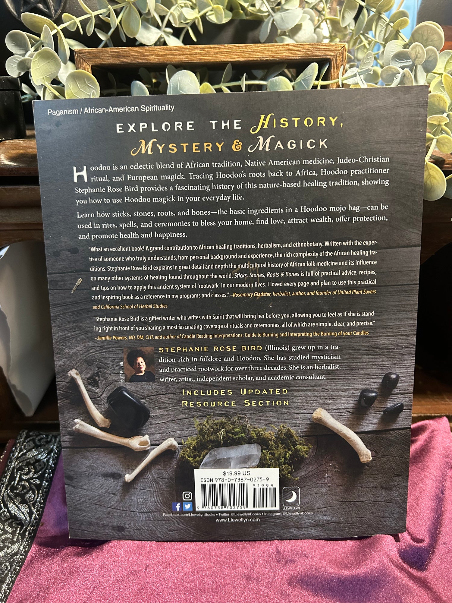 Sticks Stones Roots & Bones