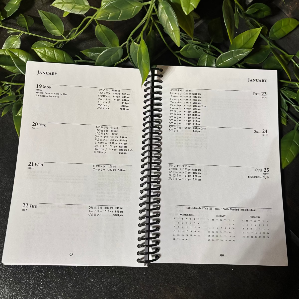 Llewellyn's Daily Planetary Guide 2026