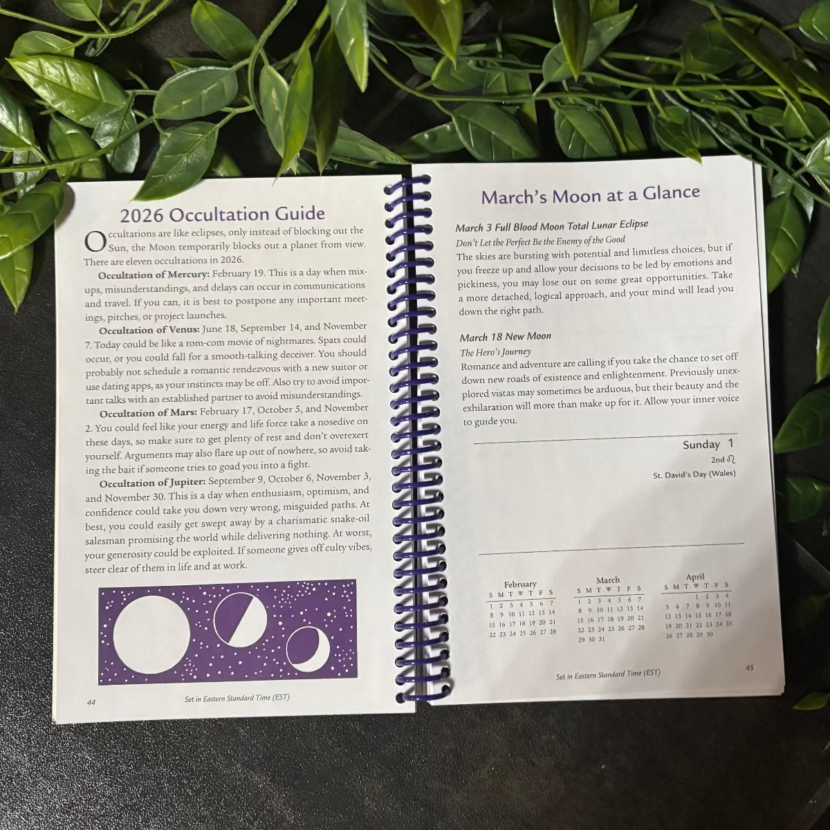 Spiral-bound book on a dark surface with green leaves in the background