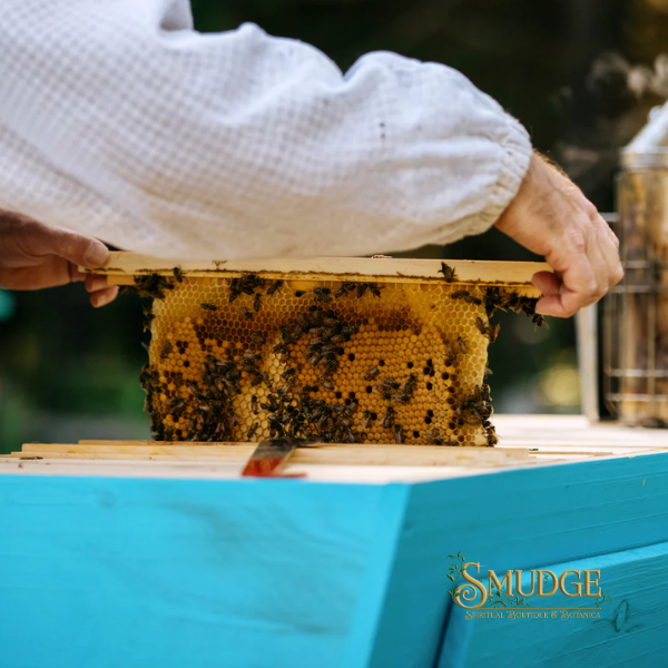 Pure Canadian Honeycomb