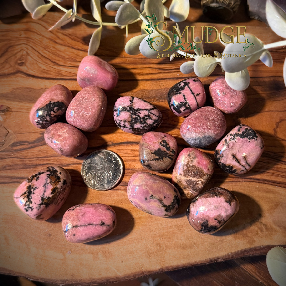 A group of polished pink tumbled rhodonite, gemstones with black and brown matrix patterns, arranged on a wooden board next to a coin for scale, with decorative greenery and a 'SMUDGE' brand logo at the top.