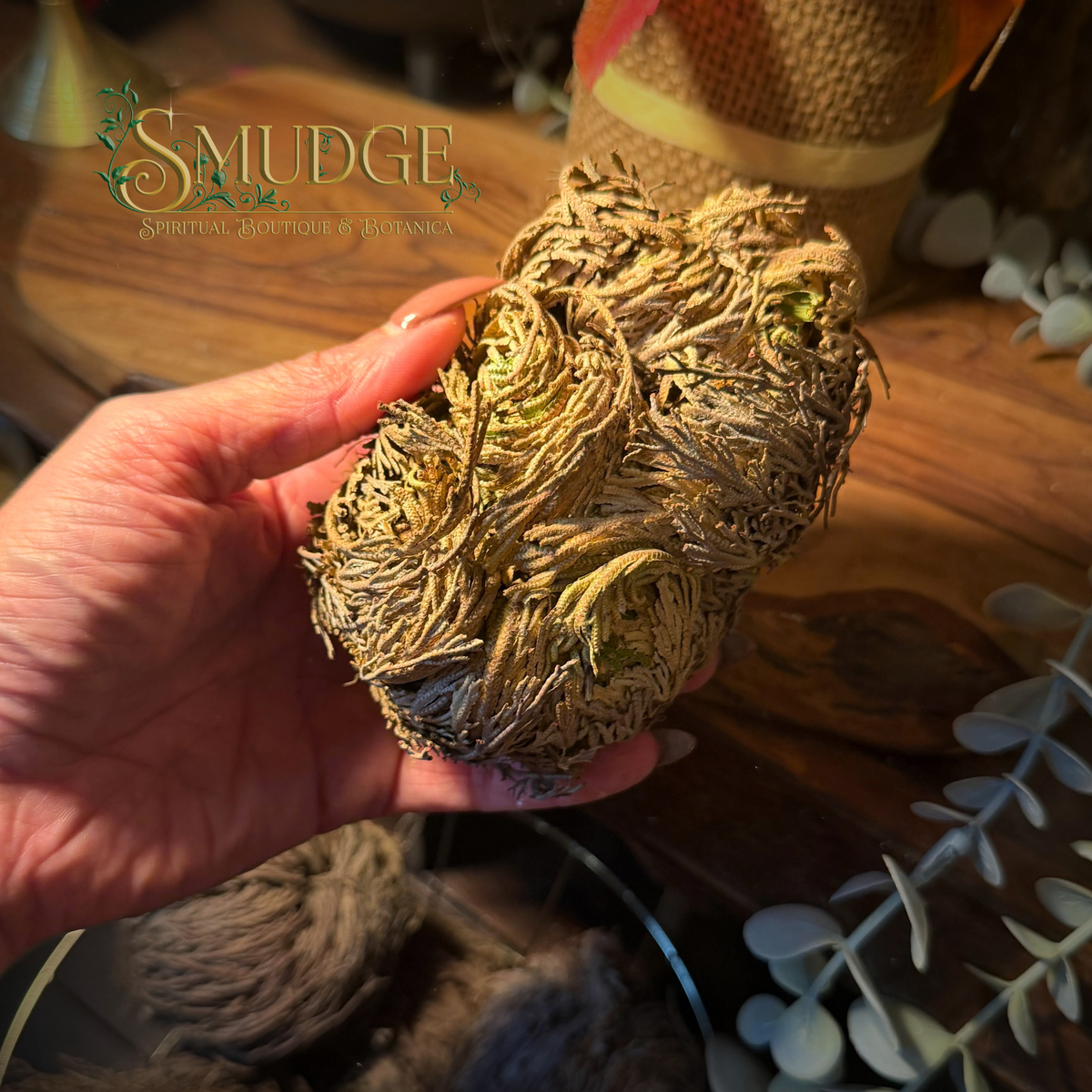 A hand holds a dried, rose of jericho dried plant, against a warm wooden background with a visible 'SMUDGE Spiritual Boutique & Botanica' logo overlay.