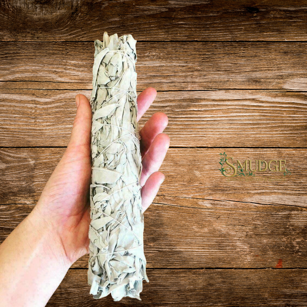 White Sage Bundle - large 12"