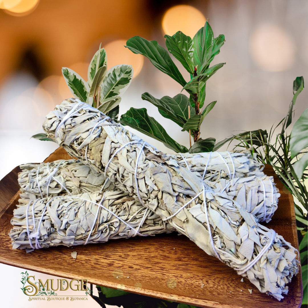 White Sage Bundle - large 12"
