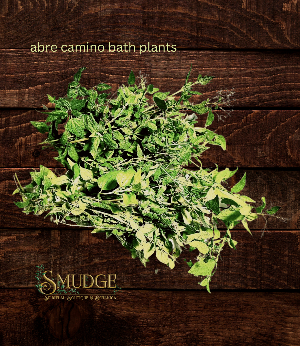 abre camino plant seeds Abre Camino Road Open Bath Plants – Smudge Metaphysical Spiritual Boutique