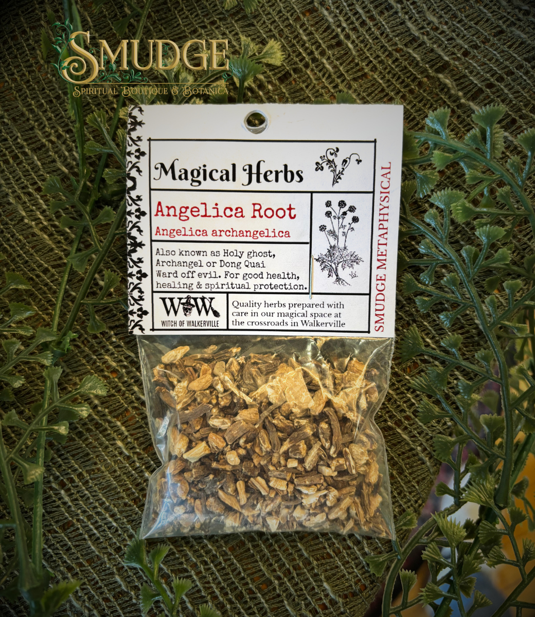 Angelica Root