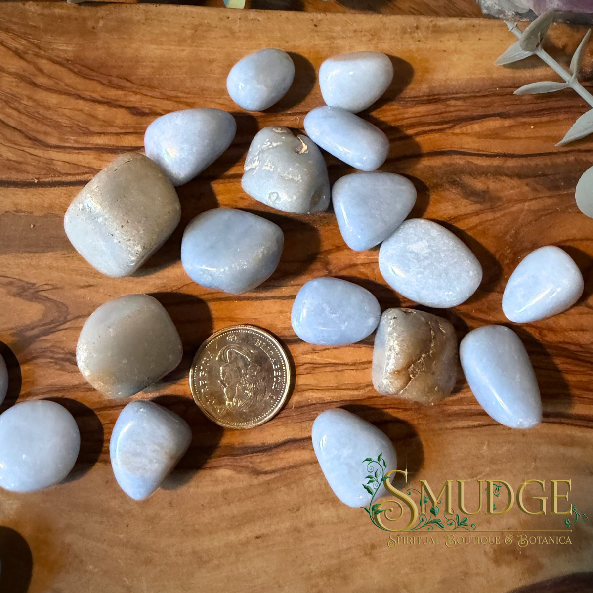 Angelite tumbled stones on a wooden table with a Canadian quarter besides it to show the size.