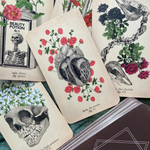 A spread of illustrated tarot-style cards featuring anatomical hearts, skulls, flowers, chains, and vintage text such as 'Beauty Potion' and 'Suit, elixirs fig. queen.