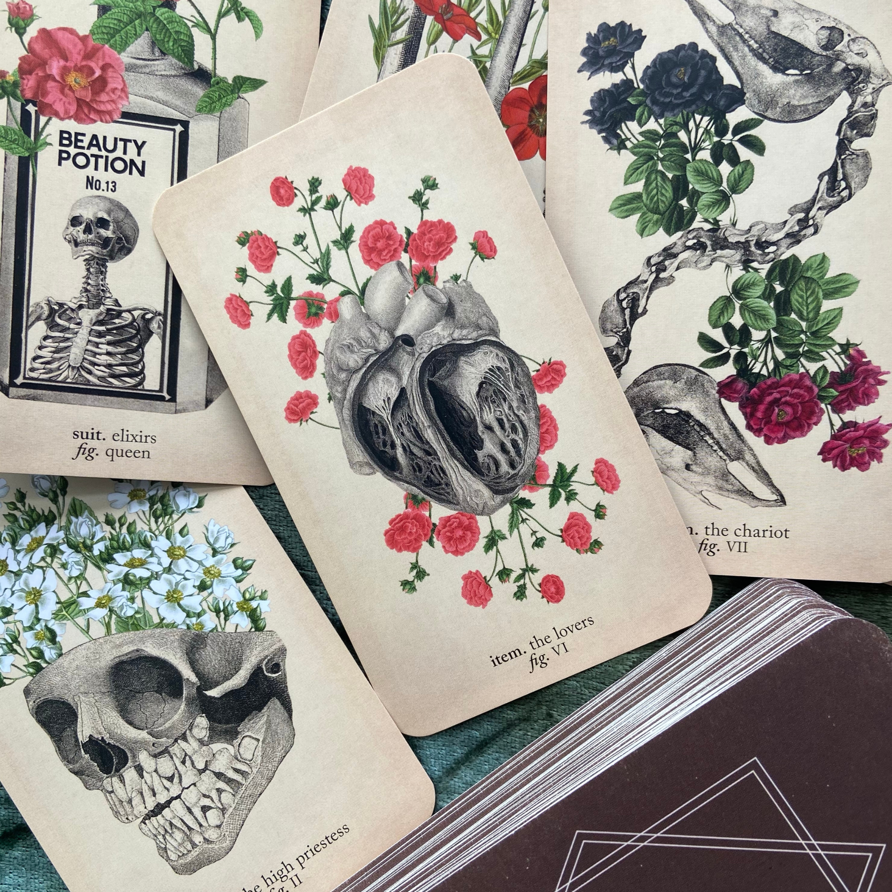 A spread of illustrated tarot-style cards featuring anatomical hearts, skulls, flowers, chains, and vintage text such as 'Beauty Potion' and 'Suit, elixirs fig. queen.