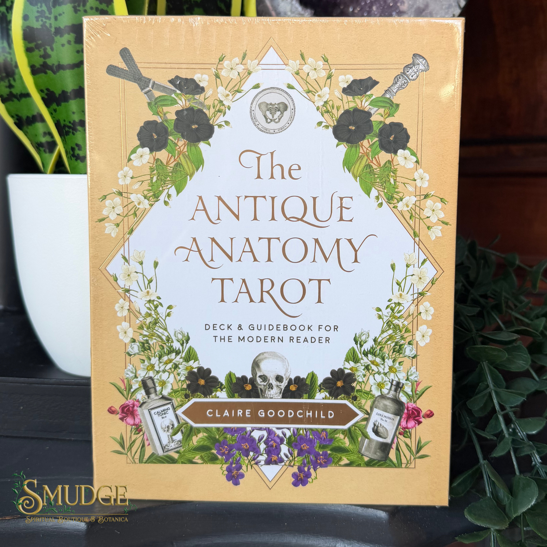 The Antique Anatomy Tarot deck and guidebook box by Claire Goodchild, featuring a gold border, white center panel, and botanical illustrations of flowers, skulls, and tarot cards, photographed on a dark tabletop with potted plants in the background.
