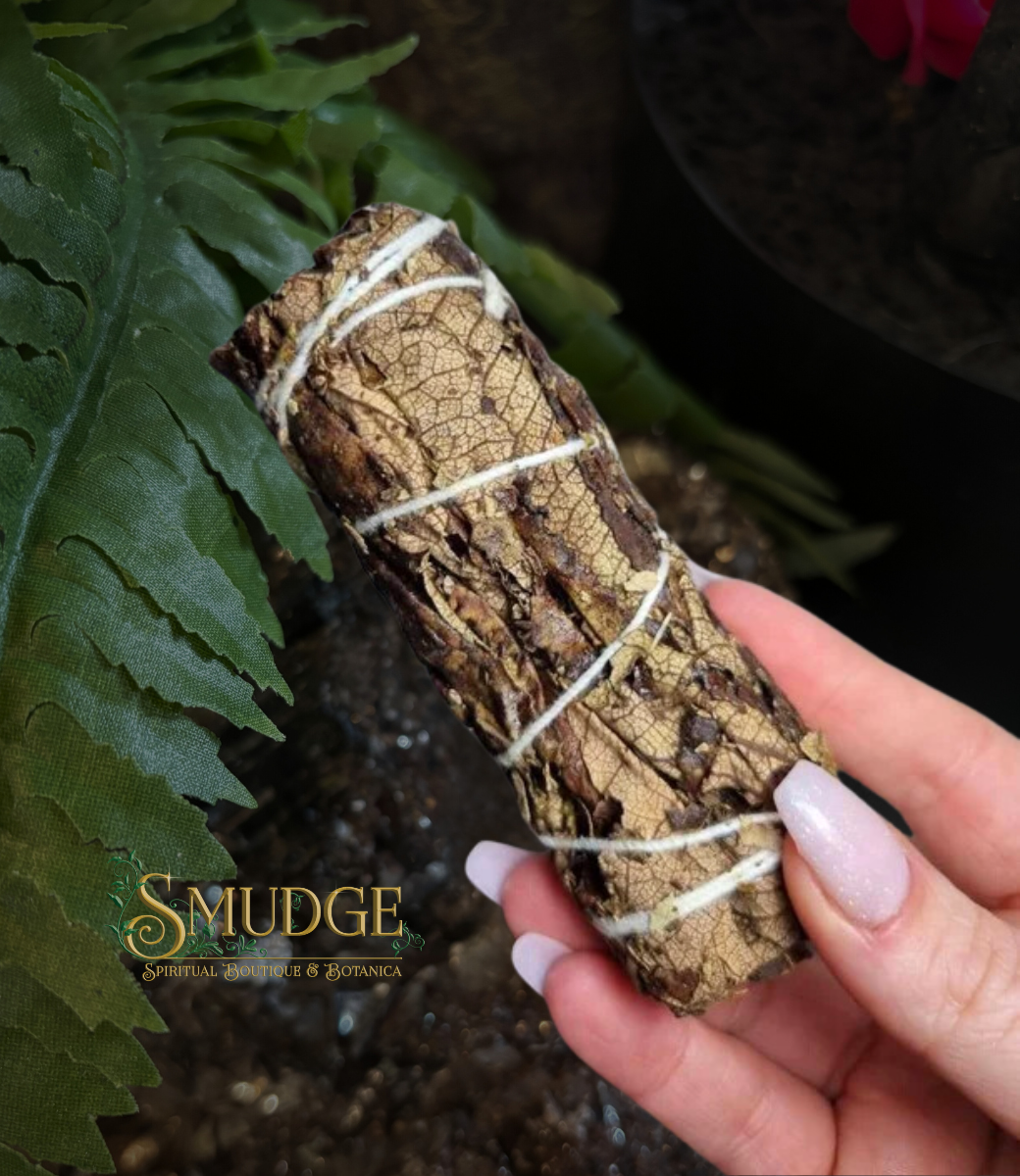 Black Sage (Mugwort) 5"