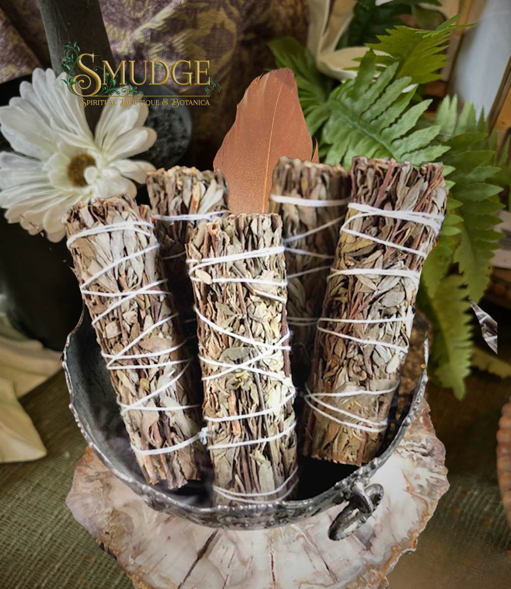 Black Sage (Mugwort) 5"