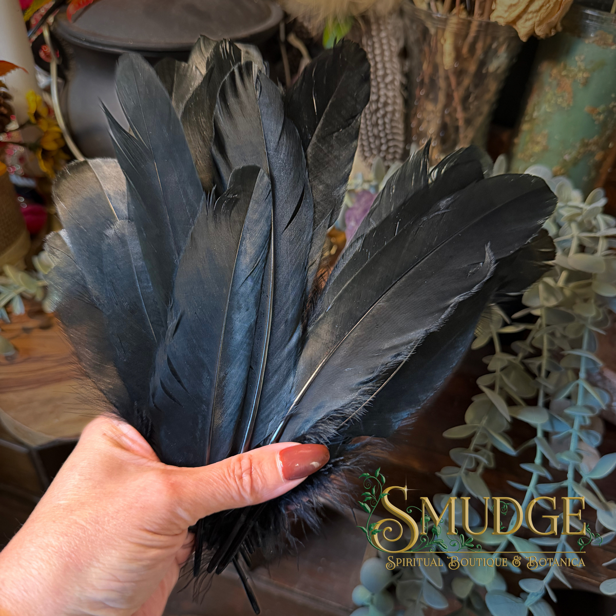 A hand holding a group of black bird feathers.